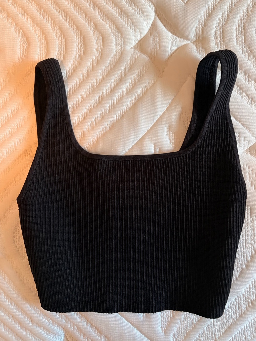 Aritzia Babaton ribbed tank crop top